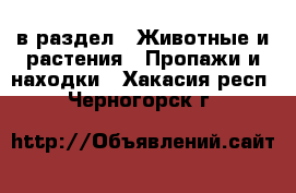  в раздел : Животные и растения » Пропажи и находки . Хакасия респ.,Черногорск г.